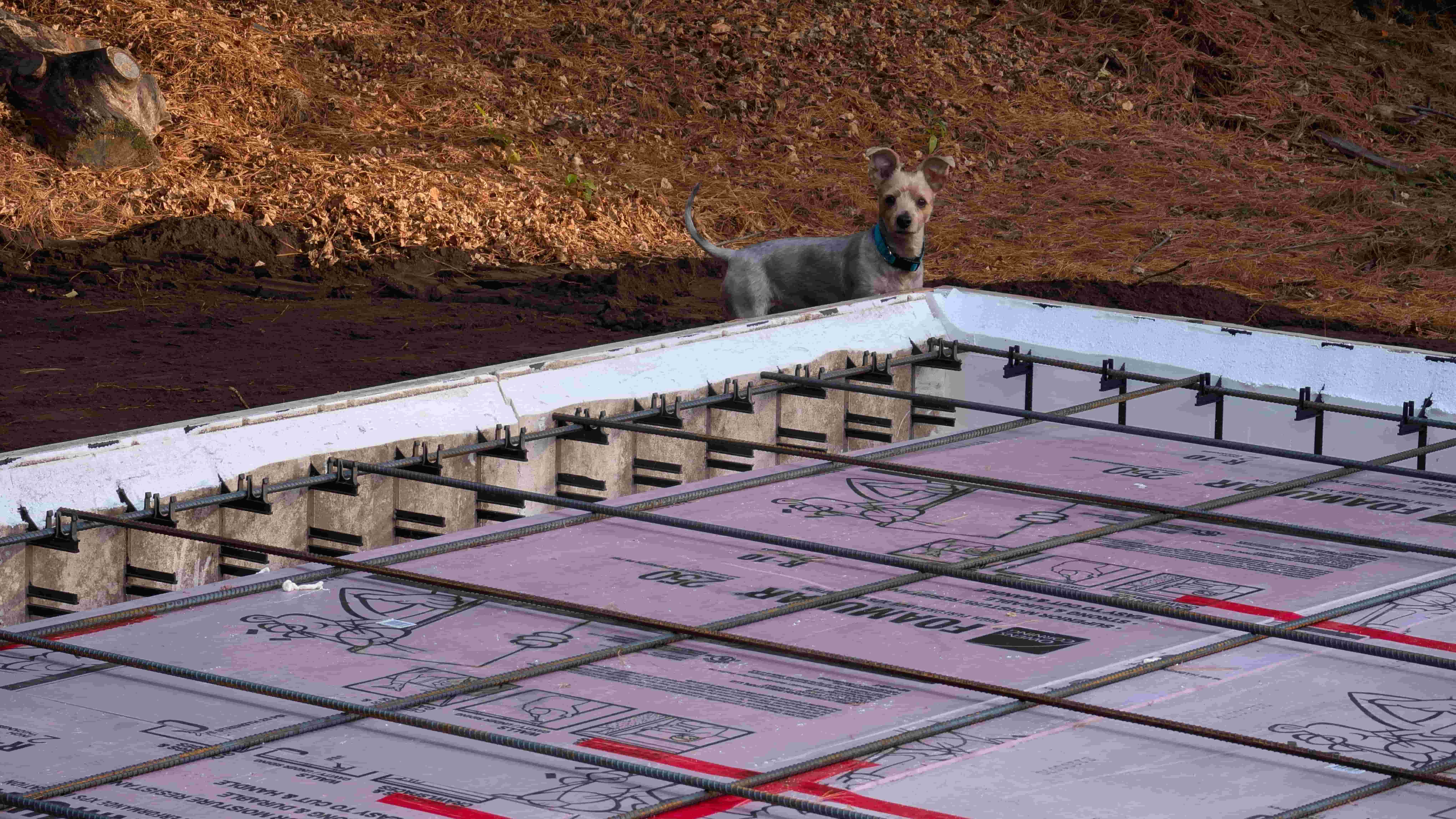 Site inspector on duty